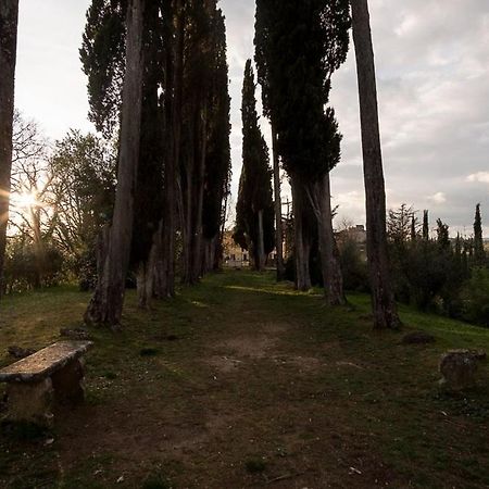 Casa Nel Chianti A Siena Lejlighed Ponte A Bozzone Eksteriør billede