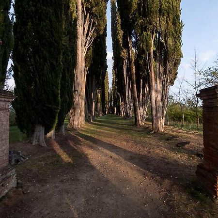 Casa Nel Chianti A Siena Lejlighed Ponte A Bozzone Eksteriør billede