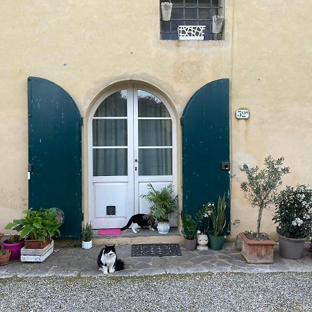 Casa Nel Chianti A Siena Lejlighed Ponte A Bozzone Eksteriør billede